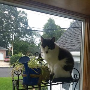 Meet your Posher, Bonnie